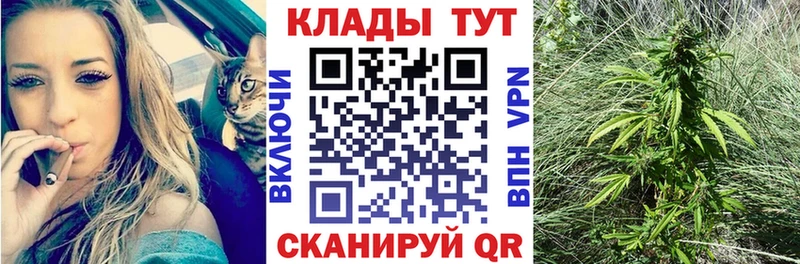 Купить закладку Конопля  Меф мяу мяу  СК  ГАШ  Вышний Волочёк
