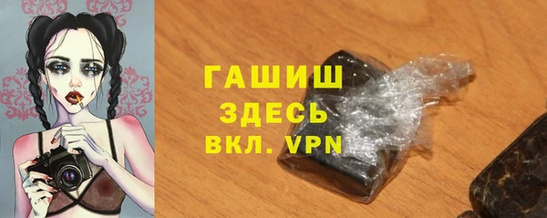 сатива Каменка