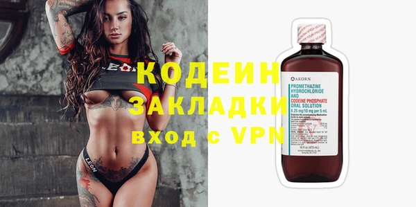 сатива Каменка