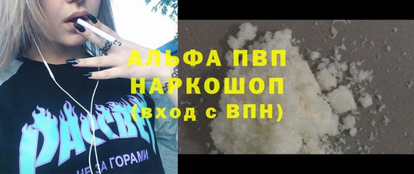 сатива Каменка