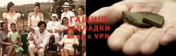 сатива Каменка