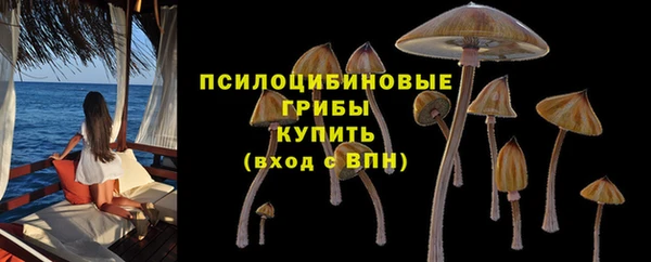 прущие крисы Каменногорск