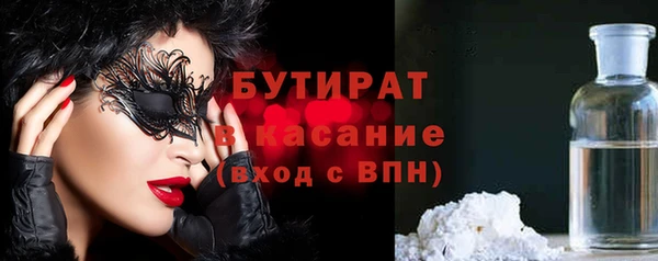 сатива Каменка