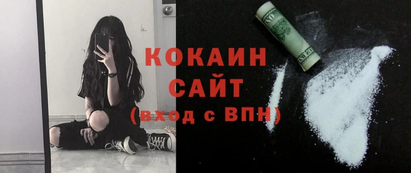 сатива Каменка