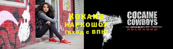 прущие крисы Каменногорск