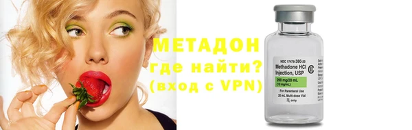 сатива Каменка