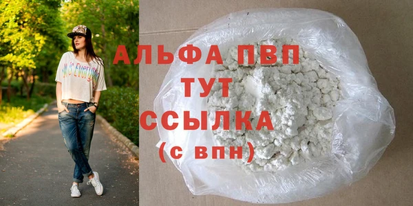 прущие крисы Каменногорск