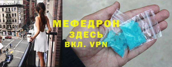сатива Каменка