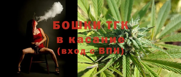 сатива Каменка