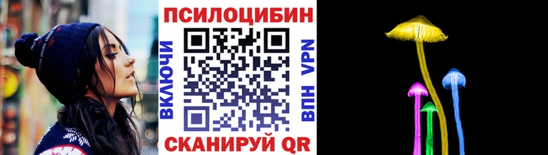 Купить закладки Вышний Волочёк Псилоцибиновые грибы Magic Shrooms